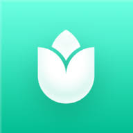 PlantIn logo